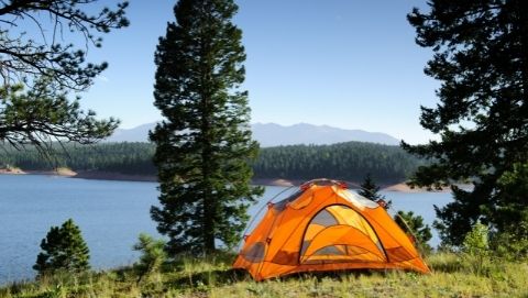 The Physical Benefits of Camping